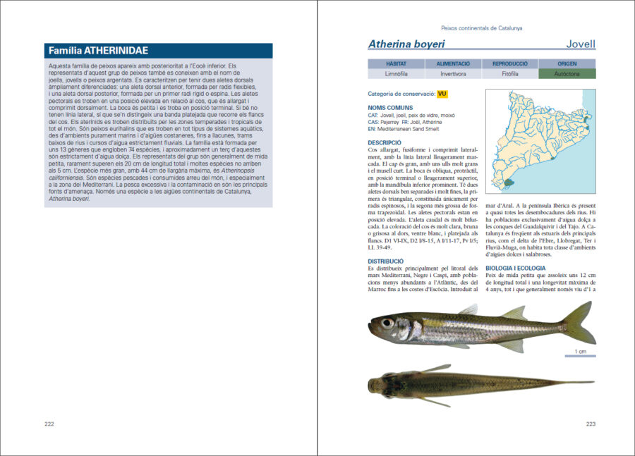 Página de muestra de Peixos continentals de Catalunya